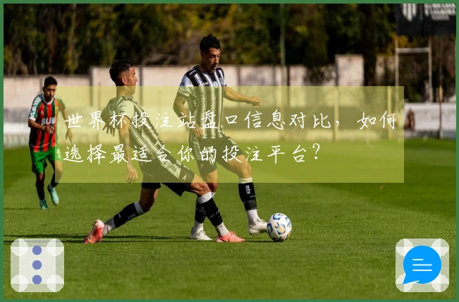 世界杯投注站盘口信息对比，如何选择最适合你的投注平台？