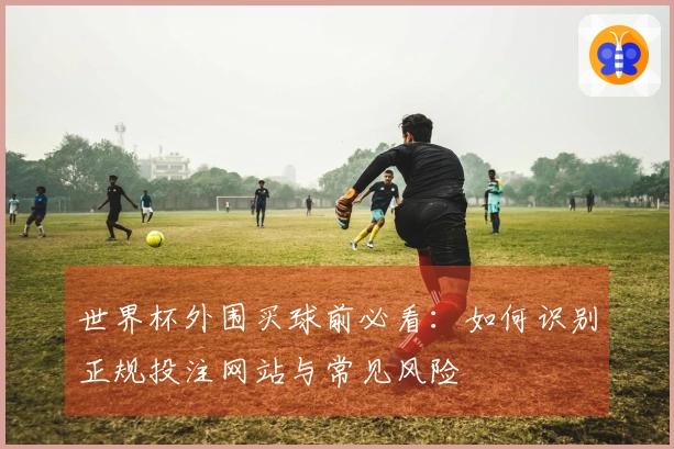 世界杯外围买球前必看：如何识别正规投注网站与常见风险