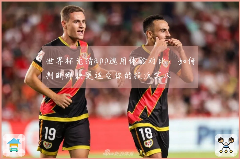 世界杯竞猜app选用体验对比，如何判断哪款更适合你的投注需求