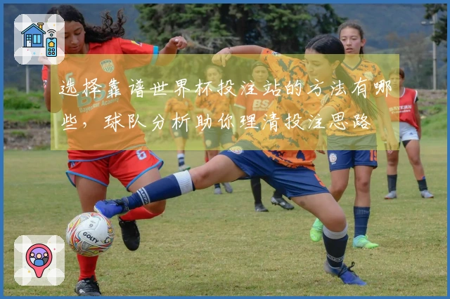 选择靠谱世界杯投注站的方法有哪些，球队分析助你理清投注思路