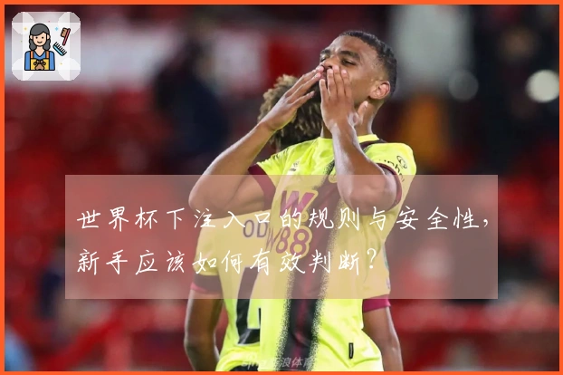 世界杯下注入口的规则与安全性，新手应该如何有效判断？