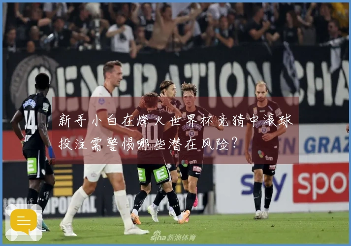 新手小白在烽火世界杯竞猜中滚球投注需警惕哪些潜在风险？