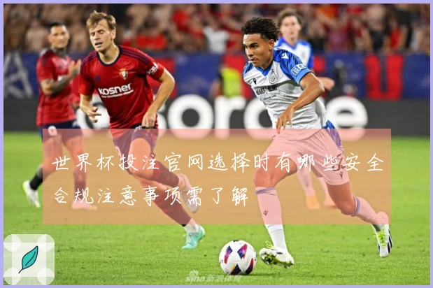 世界杯投注官网选择时有哪些安全合规注意事项需了解
