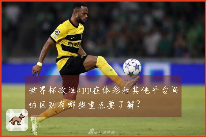 世界杯投注app在体彩和其他平台间的区别有哪些重点要了解？