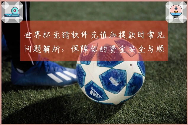 世界杯竞猜软件充值和提款时常见问题解析，保障你的资金安全与顺畅体验