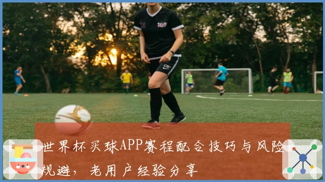 世界杯买球APP赛程配合技巧与风险规避，老用户经验分享