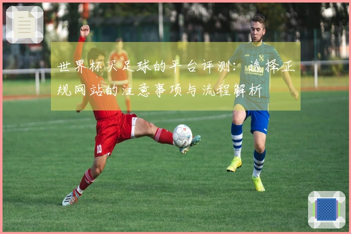 世界杯买足球的平台评测：选择正规网站的注意事项与流程解析