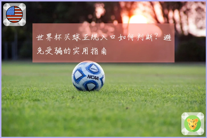世界杯买球正规入口如何判断？避免受骗的实用指南