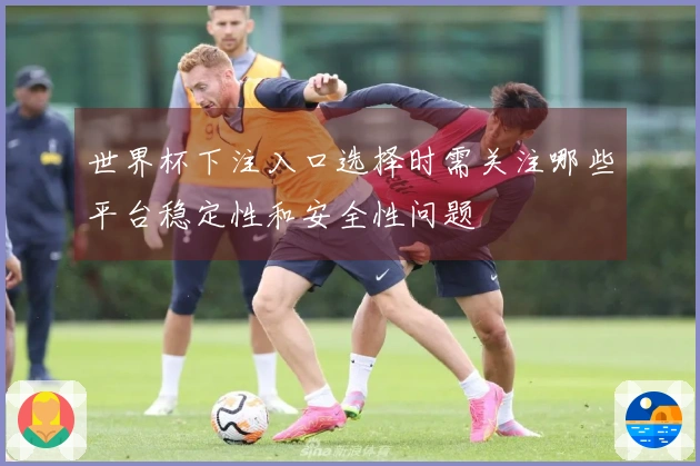 世界杯下注入口选择时需关注哪些平台稳定性和安全性问题