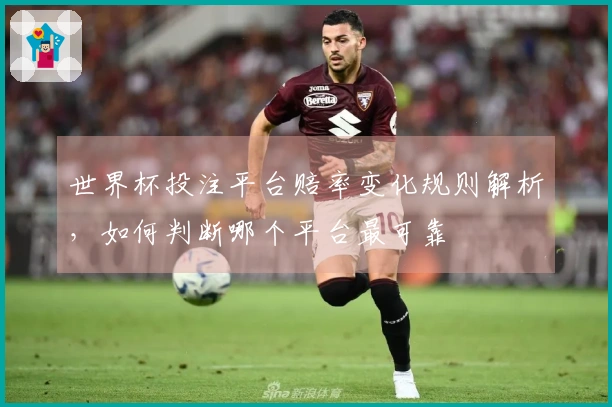 世界杯投注平台赔率变化规则解析，如何判断哪个平台最可靠