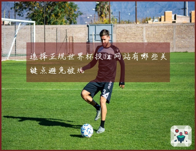 选择正规世界杯投注网站有哪些关键点避免被坑