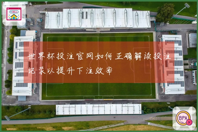 世界杯投注官网如何正确解读投注记录以提升下注效率