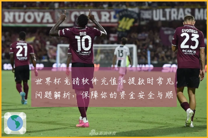 世界杯竞猜软件充值和提款时常见问题解析，保障你的资金安全与顺畅体验