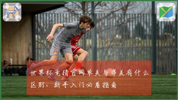 世界杯竞猜官网单关与串关有什么区别，新手入门必看指南