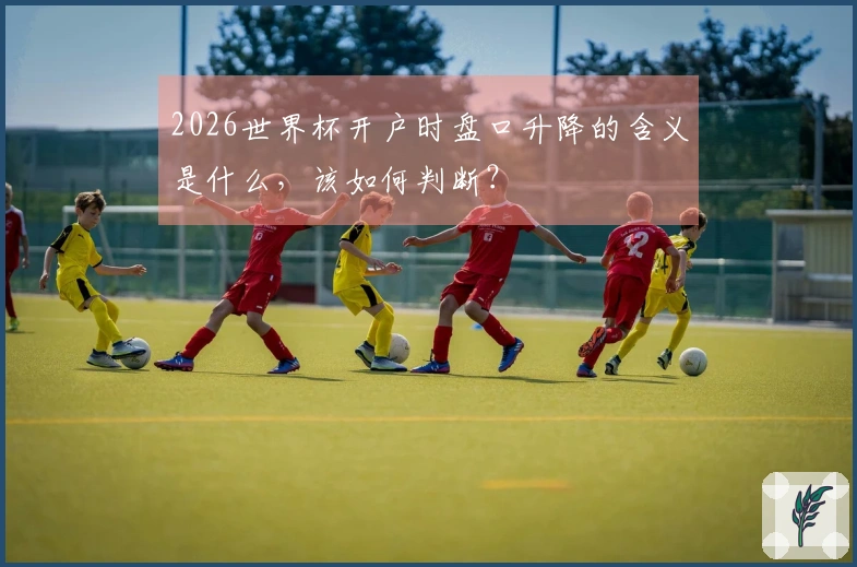 2026世界杯开户时盘口升降的含义是什么，该如何判断？