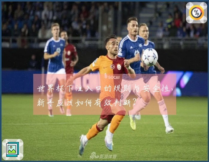 世界杯下注入口的规则与安全性，新手应该如何有效判断？