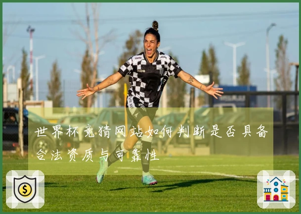 世界杯竞猜网站如何判断是否具备合法资质与可靠性